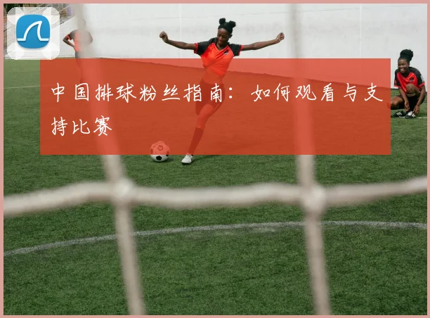 中国排球粉丝指南:如何观看与支持比赛