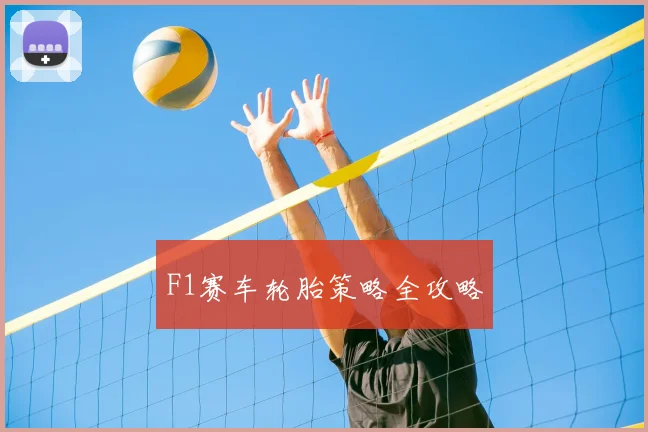 F1赛车轮胎策略全攻略