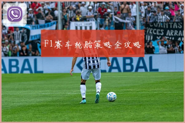 F1赛车轮胎策略全攻略