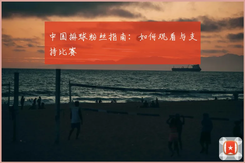 中国排球粉丝指南：如何观看与支持比赛